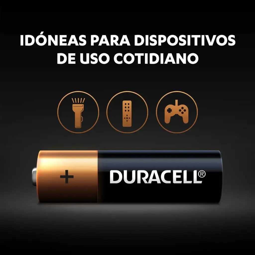 Duracell Alcalina AA (T12) 10x12