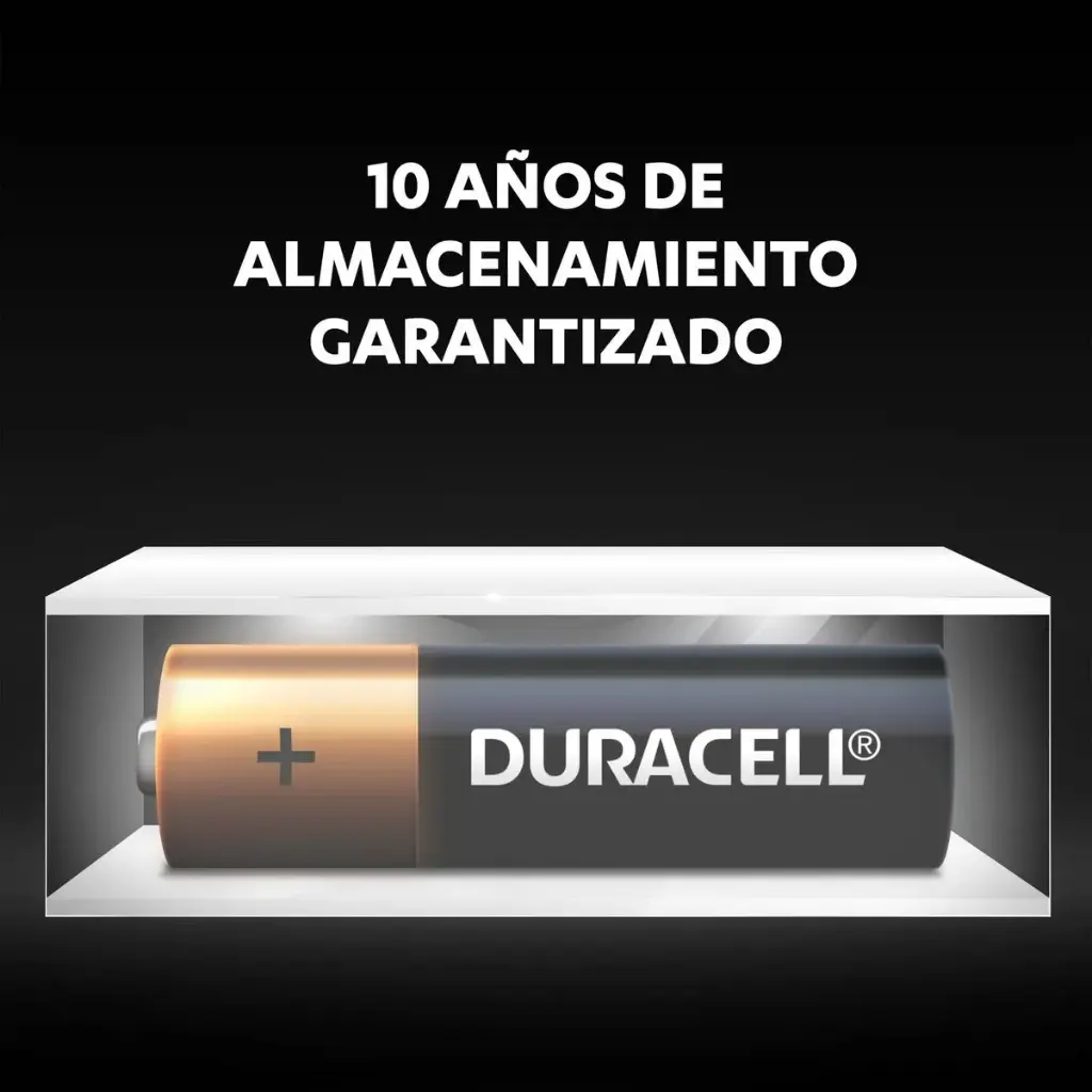 Duracell Alcalina AA (T12) 10x12