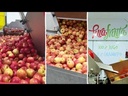 Jugo PuraFrutta Manzana y Frutilla 8x1000ml