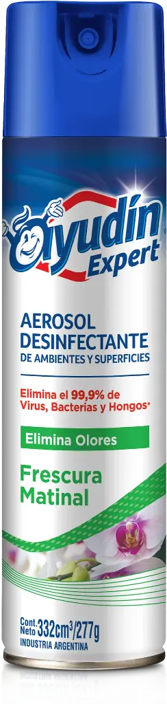 Ayudin Aerosol Frescura Matinal x332ml (x6)
