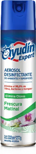 [100992] Ayudin Aerosol Frescura Matinal x332ml (x6)
